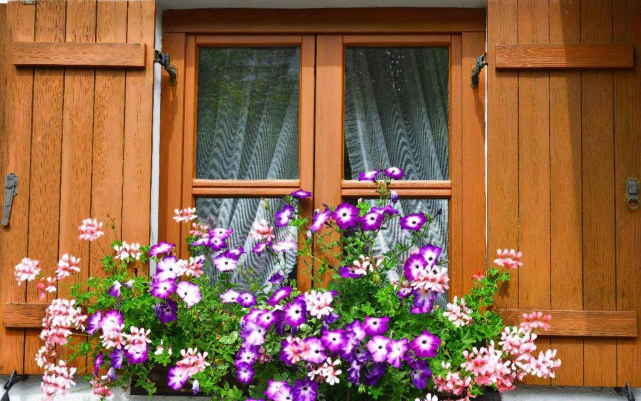 Ferienwohnungen Haus "Wildschuetz" เฟราเออเนา ภายนอก รูปภาพ